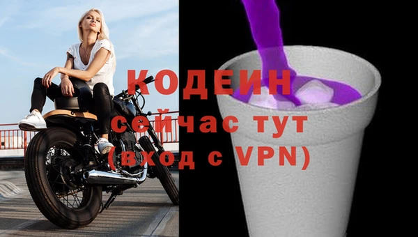 сатива Беломорск