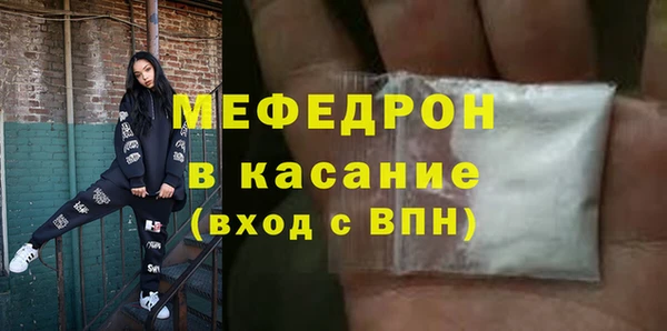 сатива Беломорск
