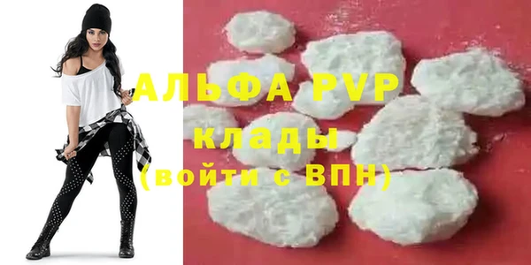 сатива Беломорск