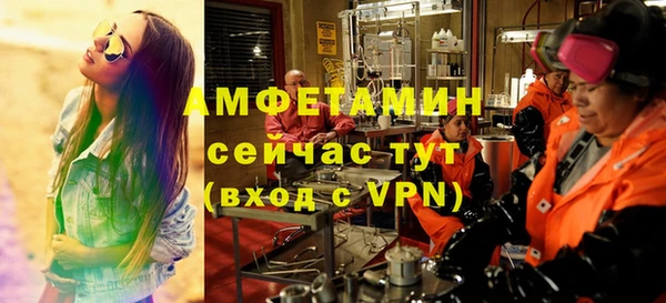 сатива Беломорск