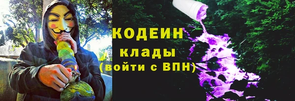 сатива Беломорск