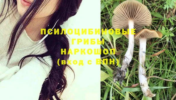 сатива Беломорск