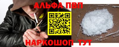 прущие грибы Кингисепп