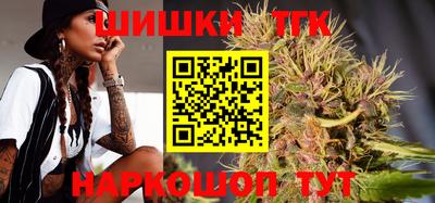 прущие грибы Кингисепп