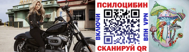 где можно купить   Краснокаменск  Галлюциногенные грибы мицелий 