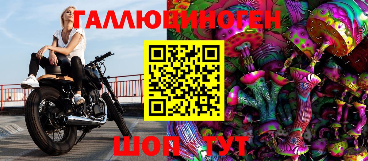 Псилоцибиновые грибы Cubensis Краснокаменск